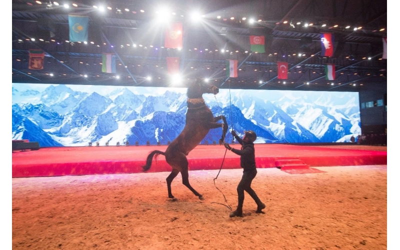住馬酒店、吃馬肉腸、喝馬奶粉、品馬奶酒--